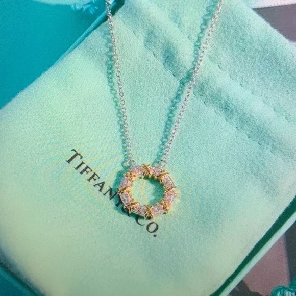 Tiffany & Co Silver and Gold Circle Pendant Necklace - Picture 3 of 4